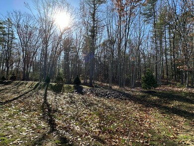 rear yard