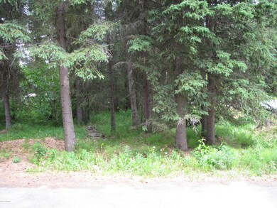 Yard 5