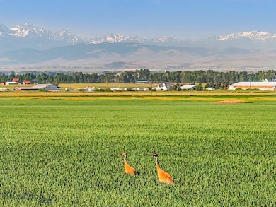 TBD Penwell Bridge Rd, Belgrade, MT 59714 - photo 2