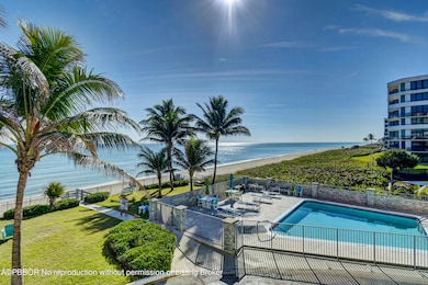 Oceanfront Palmbeacher