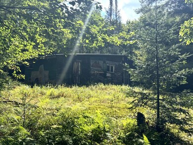 1.6 Farr Rd unit 6, Ohio, NY 13324 - photo 4