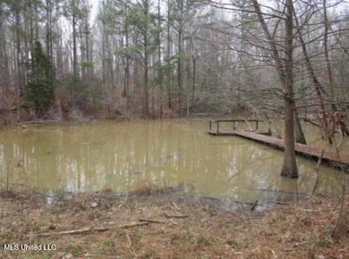 55 Scheffel Rd, Natchez, MS 39120 - photo 5