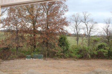 IMG_0305