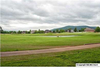 View form the back yard overlooking the golf course