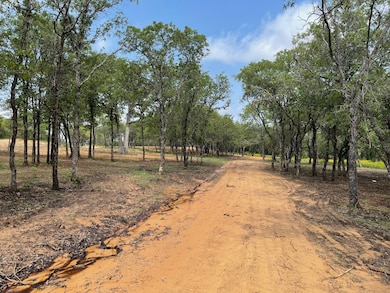 TBD - Lot 88 Blissful Ct, Graford, TX 76449 - photo 5