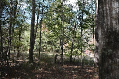 1685 N Margaret, Kirbyville, TX 75956 - photo 2