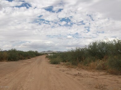 13170 W Green Cactus 005