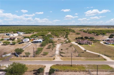 25356 Brushline Rd, Edinburg, TX 78542 - photo 3