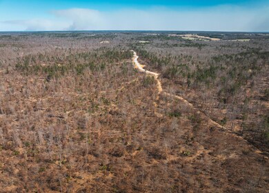 DJI_20240321144002_0167_D