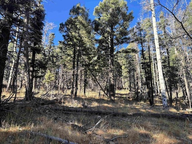Lot 1490 Royal Ave, Angel Fire, NM 87710 - photo 4
