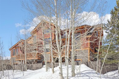 50 B County Road 1293 unit 50B, Silverthorne, CO 80498 - photo 4