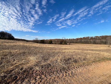 117.71 Acres Cemetery Rd, Scottsville, KY 42164 - photo 5