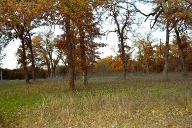 320 Johnson Bend Rd, Weatherford, TX 76088 - photo 2