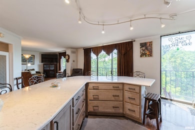 Summit Ridge Condominiums unit 7A, East Moline, IL 61244 - photo 5