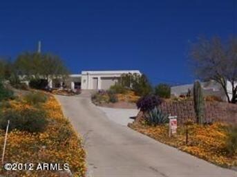 Spring time wild flowers compliment home