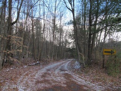 55 Middle Grove Rd, Greenfield Center, NY 12833 - photo 5