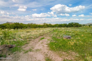 450E4thSt-Eagar-AZ-6