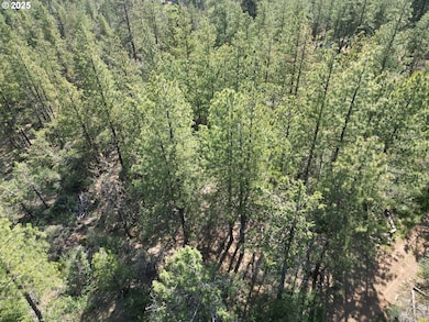 0 Sandpiper Dr unit 2300, Beatty, OR 97621 - photo 2