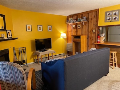 18 Windsor Hill Way unit 59, Waterville Valley, NH 03215 - photo 4