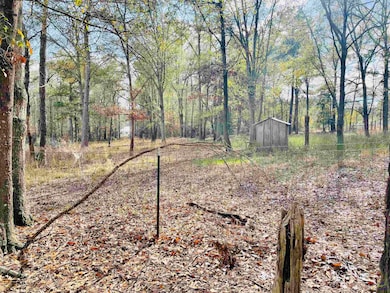 829 Pope Rd, Roberta, GA 31078 - photo 7