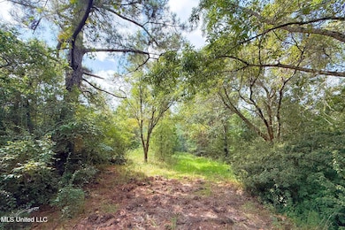 8405 Wire Rd, Ocean Springs, MS 39565 - photo 3