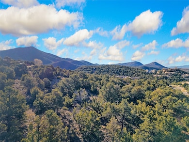 1928 Cerro Escondido, Santa Fe, NM 87501 - photo 6