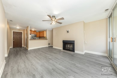 5830 Oakwood Dr unit 4F, Lisle, IL 60532 - photo 6