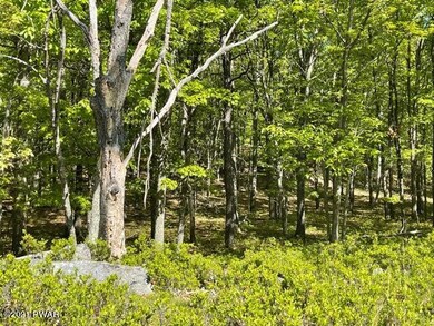 2395 Eagle Path, Lehman Township, PA 18324 - photo 3