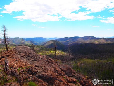 0 Davis Ranch Rd unit 785073, Bellvue, CO 80512 - photo 6