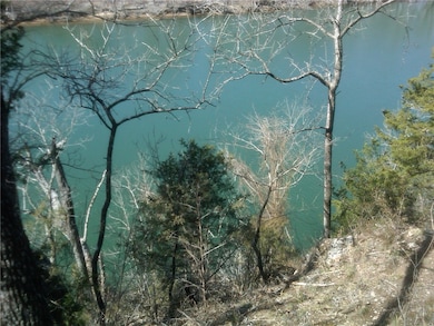 0 Cr-206 unit 1319192, Eureka Springs, AR 72632 - photo 6