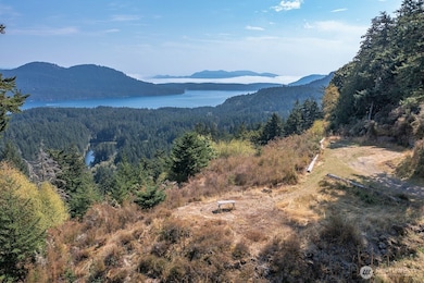 1637 Spring Hill Rd, Eastsound, WA 98245 - photo 7