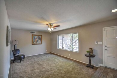 living room-1