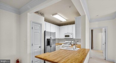 11310 Westbrook Mill Ln unit 202, Fairfax, VA 22030 - photo 6