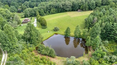 Spring fed pond