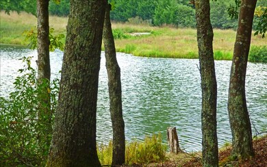 Lot 2 Doublehead Gap Rd, Blue Ridge, GA 30513 - photo 2