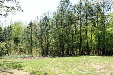 1454 Cr 420, Poplar Bluff, MO 63901 - photo 2