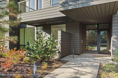 101 Willits Way unit 202, Basalt, CO 81621 - photo 2