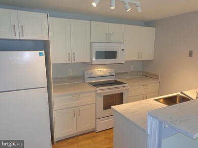 11415 Little Patuxent Pkwy unit 4-108, Columbia, MD 21044 - photo 3