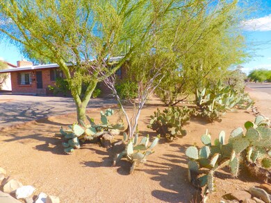 Terrific Corner Lot