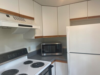 16 Hemlock Ridge Dr unit 301, White River Junction, VT 05001 - photo 7