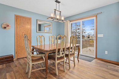 348 W 3 1/2 St, Waconia, MN 55387 - photo 6