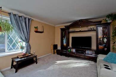 84 Fuller St unit 12, Ludlow, MA 01056 - photo 6