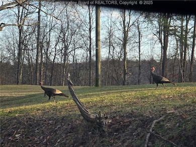 91 Hawk Ridge Rd, Fraziers Bottom, WV 25082 - photo 6