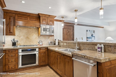 415 E Dean St Unit 36 Weeks 5 & 6, Aspen, CO 81611 - photo 6