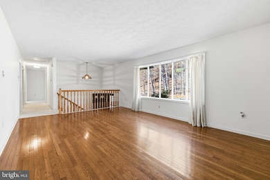 2800 Rocky Branch Rd, Luray, VA 22835 - photo 4