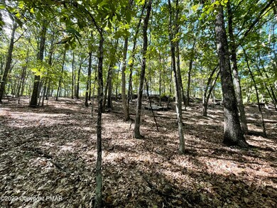 0 Lot 152 Chipmunk Rd unit PM-100595, Bushkill, PA 18324 - photo 4