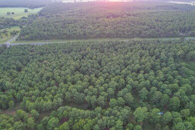 0 E S Sh 155, Frankston, TX 75763 - photo 6