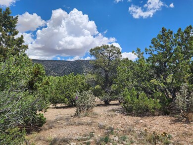 4 Monte Vista Ct, Placitas, NM 87043 - photo 5