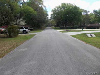 Lot 2 SW 197th Cir, Dunnellon, FL 34432 - photo 3