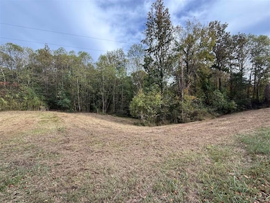 0 Cool Springs Rd unit RA20256983, Morgantown, KY 42261 - photo 6